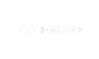 QS I-Guage